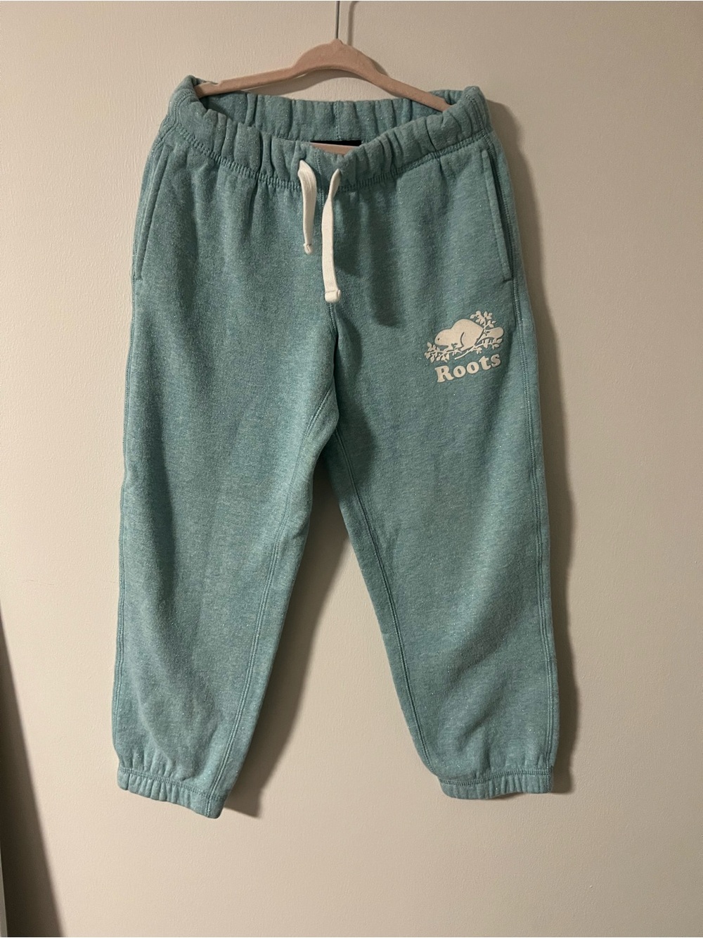 Sparkly Light Blue Roots Sweatpants